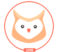 Grace Sistemas De Informacao Sticker by Síntese Jr.