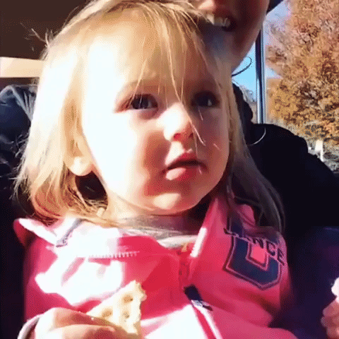 Little Girl Has Adorable Reaction to Ride on Zoo Train