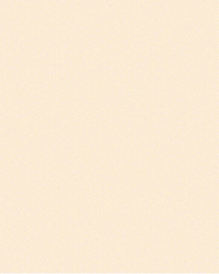 Amigos Mate GIF by Estudio Koi