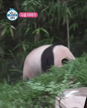 jmy0334 giphyupload GIF