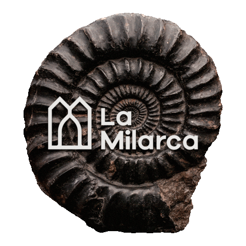 lamilarcamuseo giphyupload monterrey nuevo leon secretaria de cultura Sticker