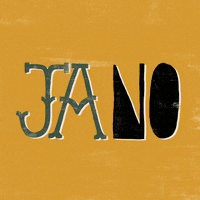 south africa no GIF by muhahalicia