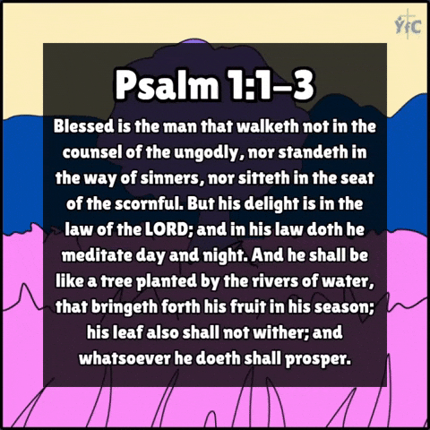 Prosper Bible Verses GIF by Young Faith in Christ