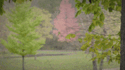 Man Reaction GIF by Ford