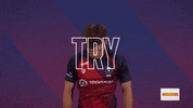 GIF by Bristol Bears
