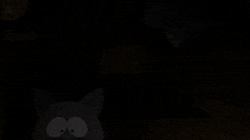 eric cartman kitty GIF by South Park 