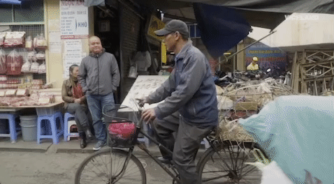 viceland GIF by Dead Set on Life