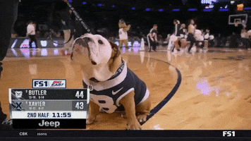 Happy Butler Bulldogs GIF by Butler University