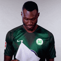 france football GIF by VfL Wolfsburg