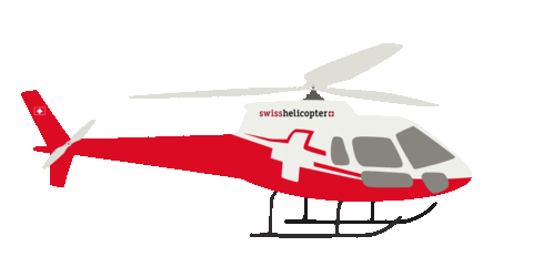 Fly Flying Sticker by Swiss Helicopter