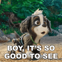 Nickelodeon Rex GIF by Paw Patrol Movies