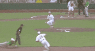 Notre Dame Baseball GIF by NCAA Championships
