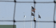 Notre Dame Baseball GIF by NCAA Championships