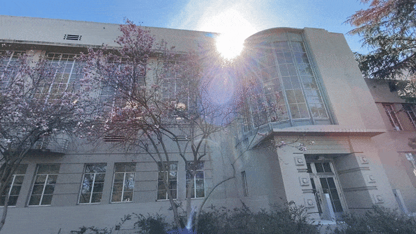 s1cn1c giphyupload spring bright building GIF