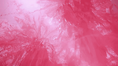 GIF by UMusicIndia