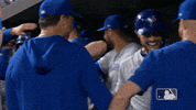 Major League Baseball Hug GIF by MLB