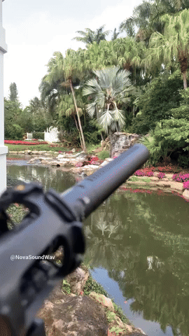 Field Recording of a Creek w a ShotGun Mic - Nova