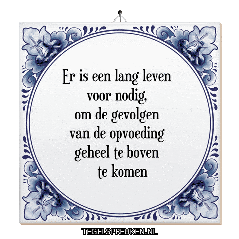 Wijsheid Troost Sticker by Tegelspreuken.nl