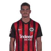 Believe You Can Sticker by Bundesliga