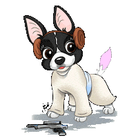 Leia Sticker