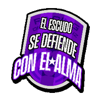 Futbol Sticker by Racing de Veracruz