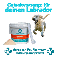 Lab Retrieve Sticker by Europeanpetpharmacy