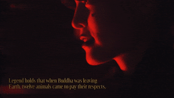 Chinese Zodiac History