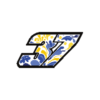 driving world touring car cup Sticker by FIA WTCR
