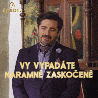 Zradci GIF by prima+