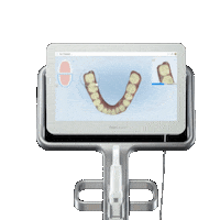 Miami Dentist Sticker by griselmartos