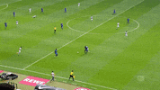 vflwolfsburg goal bundesliga wolfsburg vfl wolfsburg GIF