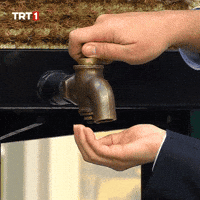 Give Me Please GIF by TRT