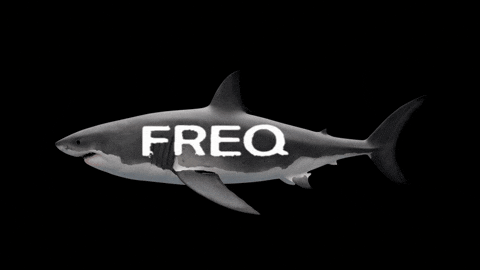 Shark GIF by ElmonX