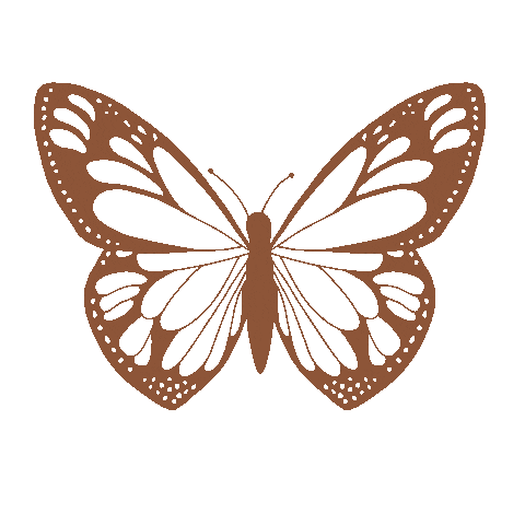 Butterfly Insect Sticker