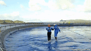 walking on water GIF