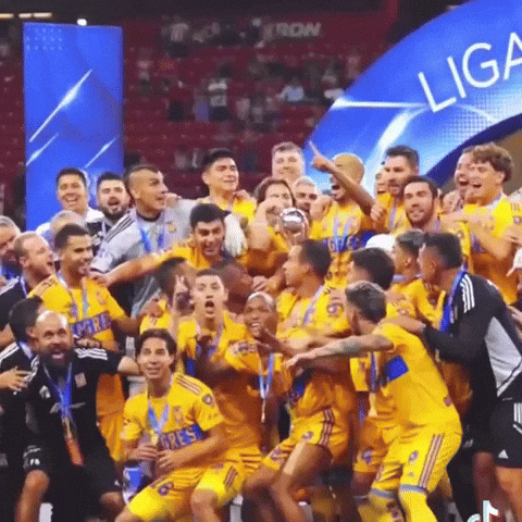 Liga Mx Tigres GIF