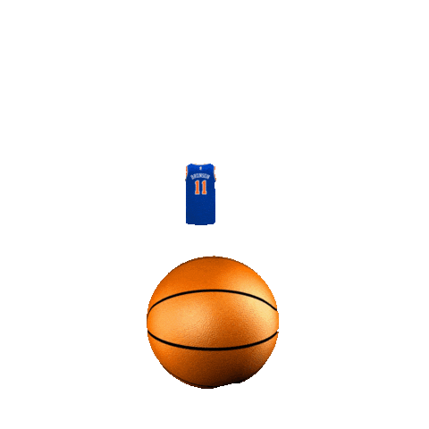 New York Knicks Basketball Sticker by Camp Chipinaw