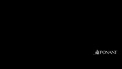 Sea Caribbean GIF by PONANT