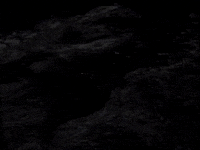 Eddie Vedder Oceans GIF by Pearl Jam