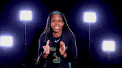 Las Vegas Raiders Basketball GIF by Wright State University Athletics