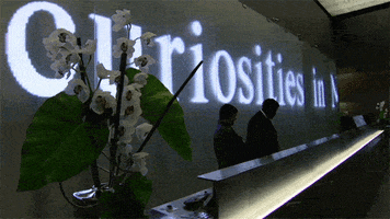 contemporary art installation GIF by Art21