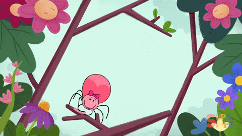 Itsy Bitsy Spider GIF by Super Simple