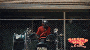 GIF by Magnolia Pictures