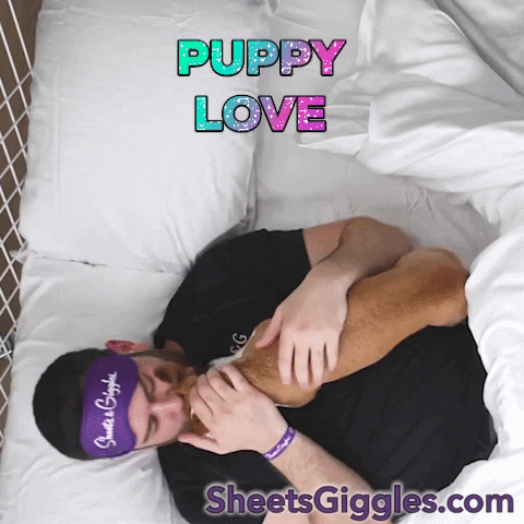 SheetsGiggles giphygifmaker love cute dog GIF