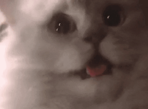 GIF by VCUarts Kinetic Imaging