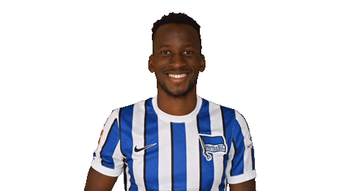 Home Swipe Up Sticker by Hertha BSC