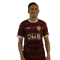 Football Hello Sticker by BFC Dynamo