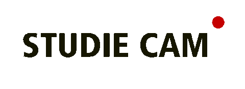 Recording Den Bosch Sticker by Avans Hogeschool