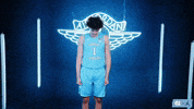 University Of North Carolina Yes GIF by UNC Tar Heels