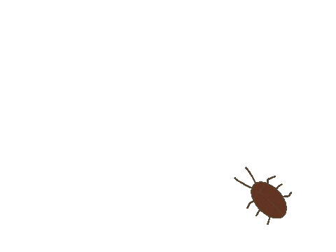 G Cockroach Sticker